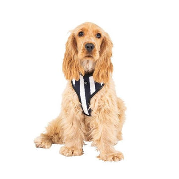 Petsleisure Pet Collars & Harnesses